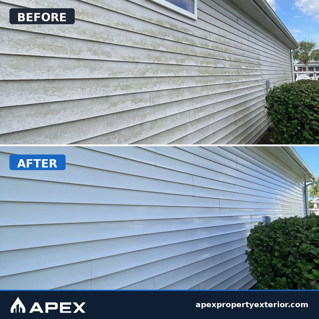 Before and after: house soft wash